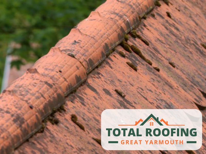 norfolk roof replacement great yarmouth NR30